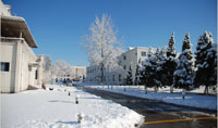 304永利集团官网入口自动门集团2013年办公楼雪景